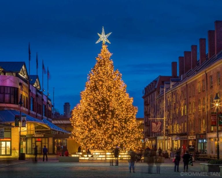 Seaport Holiday Tree Lighting New York Social Diary