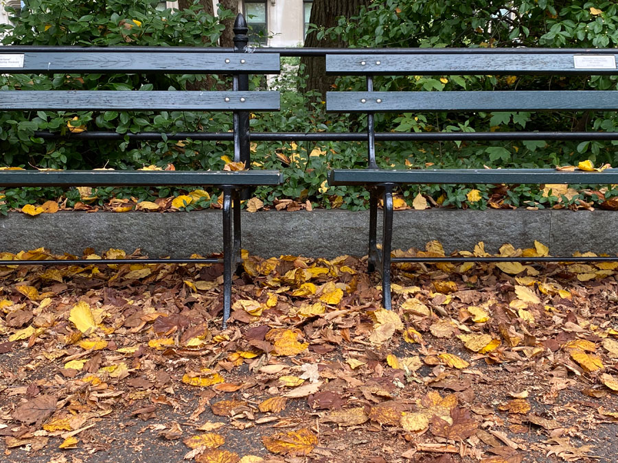 Four years ago at this time | New York Social Diary