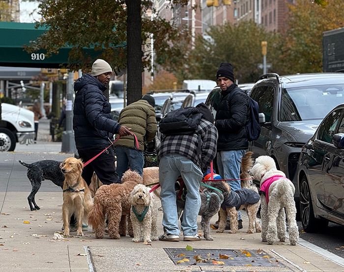 A convention of sorts.