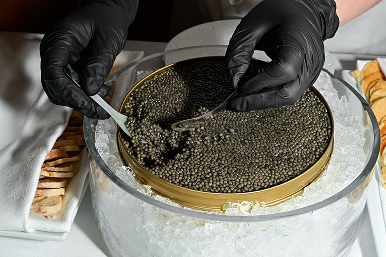 14.Regalis Caviar